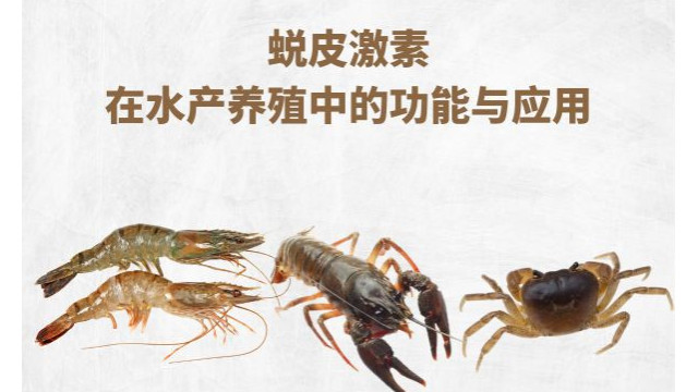 蜕皮激素在水产养殖中的功能与应用 蜕皮激素在水产养殖中的功能与应用