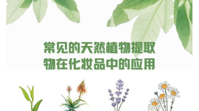 常见的天然植物提取物在化妆品中的应用