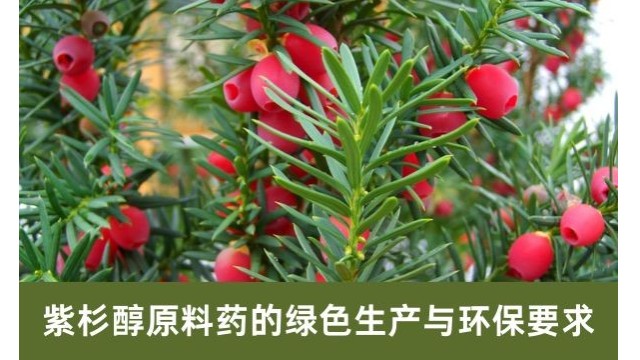 紫杉醇原料药的绿色生产与环保要求 紫杉醇原料药的绿色生产与环保要求