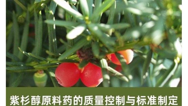 紫杉醇原料药的质量控制与标准制定 紫杉醇原料药的质量控制与标准制定