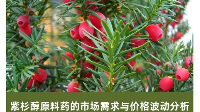 紫杉醇原料药的市场需求与价格波动分析 紫杉醇原料药的市场需求与价格波动分析
