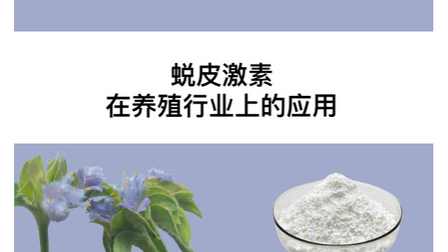 蜕皮激素在养殖行业上的应用 蜕皮激素在养殖行业上的应用