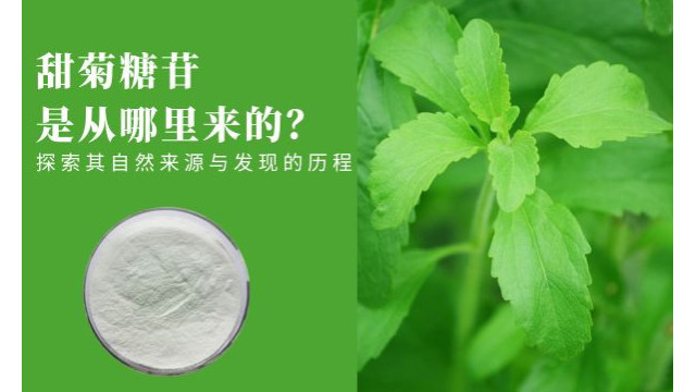 甜菊糖苷是从哪里来的？探索其自然来源与发现的历程