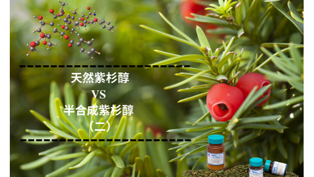 天然紫杉醇 VS 半合成紫杉醇 （二）