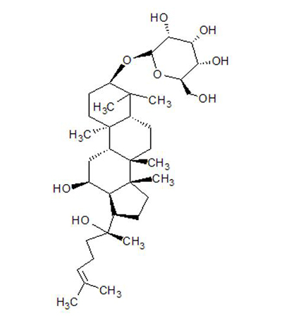 分子结构图