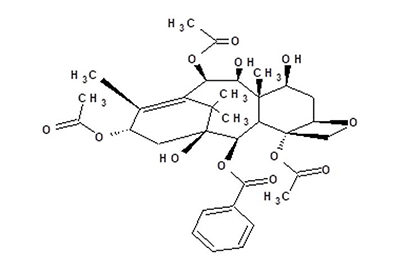 分子结构图