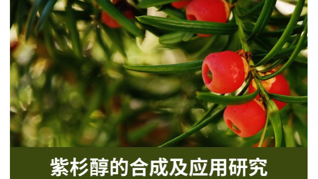 紫杉醇的合成及应用研究 紫杉醇的合成及应用研究