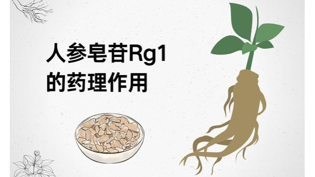 人参皂苷Rg1的药理作用 人参皂苷Rg1的药理作用