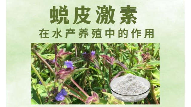 你的段落文字 你的段落文字