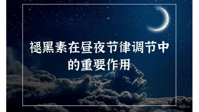 褪黑素在昼夜节律调节中的重要作用