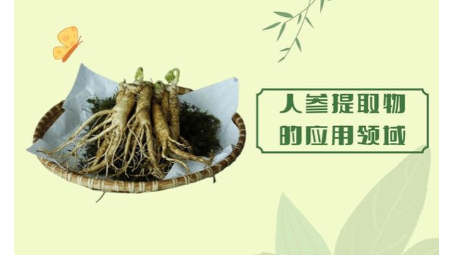 人参提取物的应用领域 人参提取物的应用领域