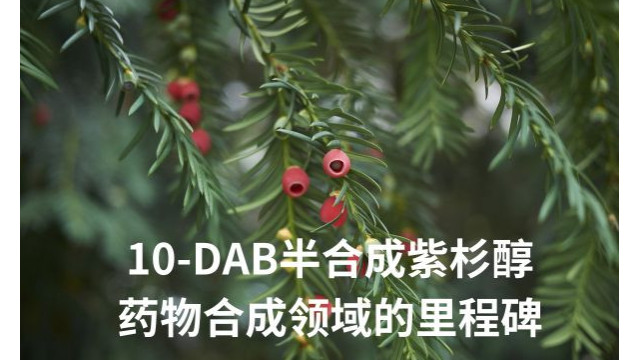 10-DAB半合成紫杉醇：药物合成领域的里程碑