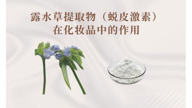 露水草提取物（蜕皮激素）在化妆品中的作用