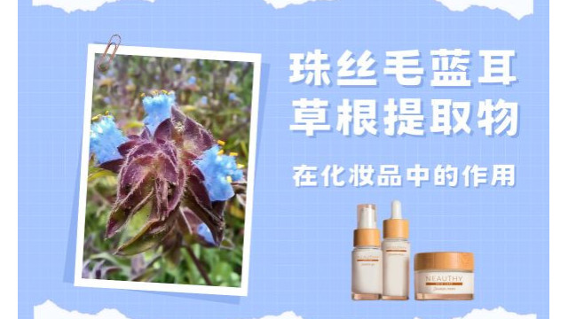 珠丝毛蓝耳草根提取物在化妆品中的作用