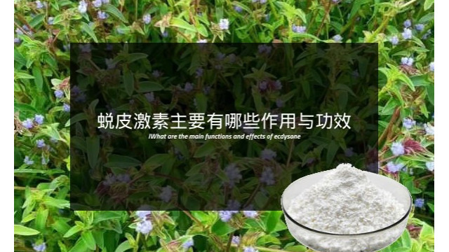 蜕皮激素主要有哪些作用与功效? 蜕皮激素主要有哪些作用与功效?