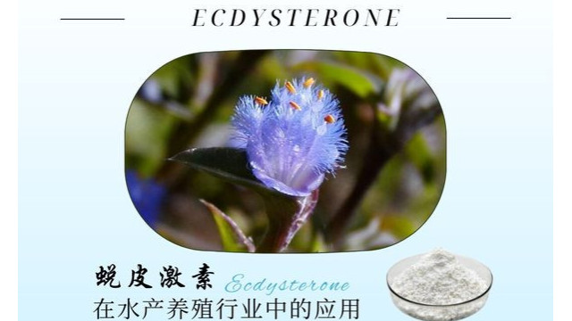 蜕皮激素在水产养殖行业中的应用 蜕皮激素在水产养殖行业中的应用