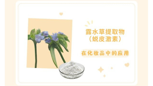 露水草提取物 (蜕皮激素) 在化妆品中的应用 露水草提取物 (蜕皮激素) 在化妆品中的应用
