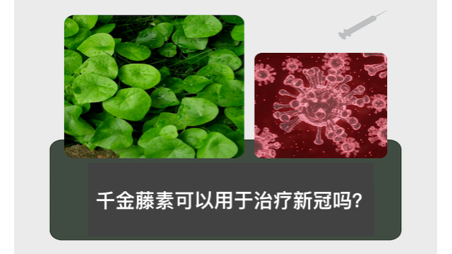 千金藤素可以用于治疗新冠吗? 千金藤素可以用于治疗新冠吗?