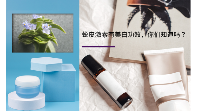 蜕皮激素有美白功效,你们知道吗? 蜕皮激素有美白功效,你们知道吗?