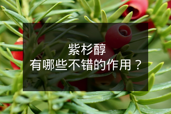 紫杉醇有哪些不错的作用? 紫杉醇有哪些不错的作用?