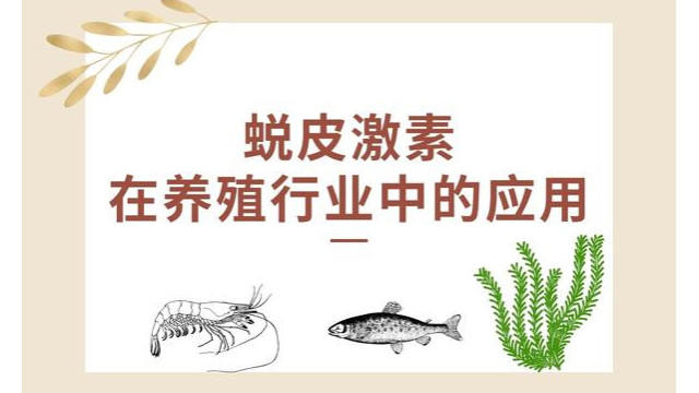 蜕皮激素在养殖行业中的应用 蜕皮激素在养殖行业中的应用