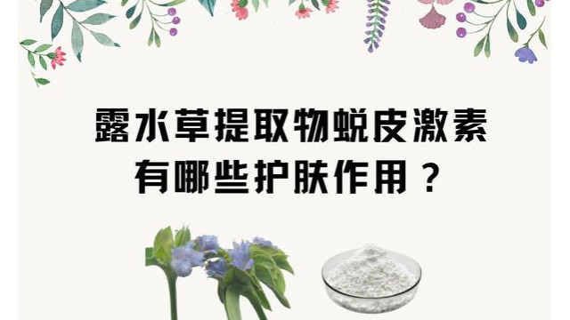 露水草提取物蜕皮激素有哪些护肤作用？