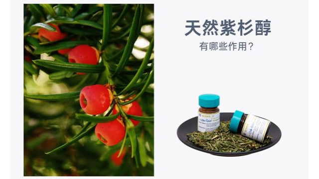 天然紫杉醇 天然紫杉醇