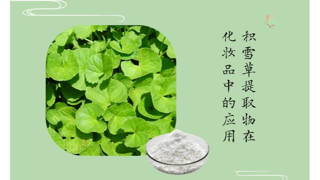 积雪草提取物在化妆品中的应用 积雪草提取物在化妆品中的应用