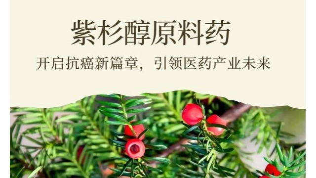 紫杉醇原料药：开启抗癌新篇章，引领医药产业未来