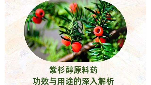 紫杉醇原料药:功效与用途的深入解析 紫杉醇原料药:功效与用途的深入解析