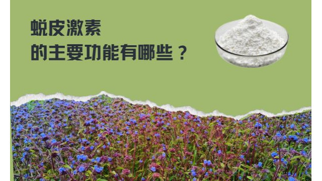 蜕皮激素的主要功能有哪些？