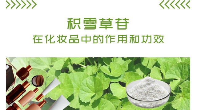 化妆品中积雪草苷的作用和功效