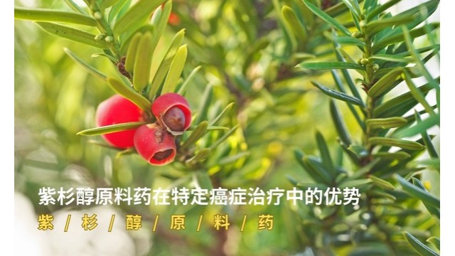 紫杉醇原料药在特定癌症治疗中的优势 紫杉醇原料药在特定癌症治疗中的优势