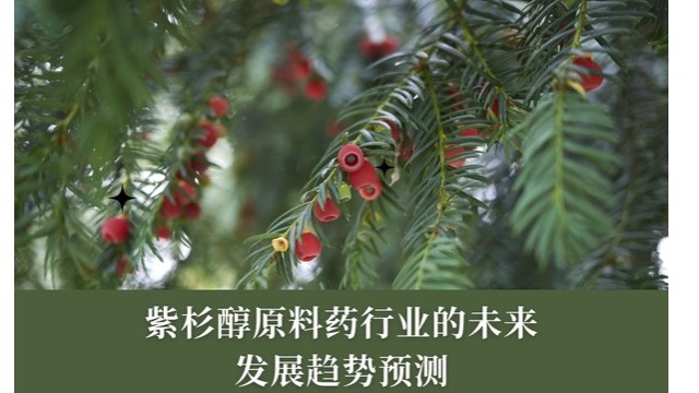 紫杉醇原料药行业的未来发展趋势预测 紫杉醇原料药行业的未来发展趋势预测