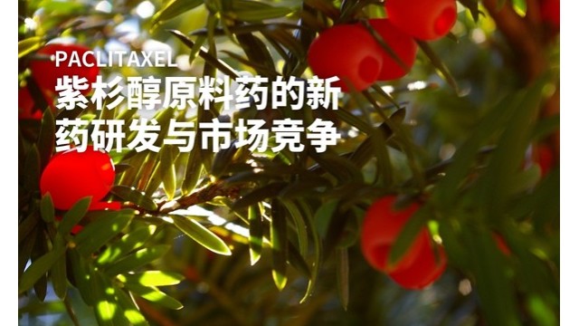 紫杉醇原料药的新药研发与市场竞争 紫杉醇原料药的新药研发与市场竞争