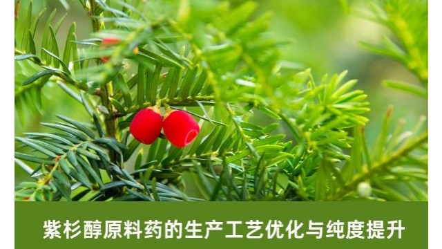 紫杉醇原料药的生产工艺优化与纯度提升 紫杉醇原料药的生产工艺优化与纯度提升