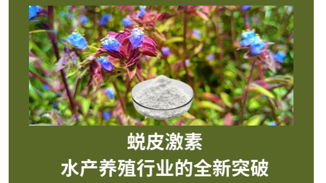 蜕皮激素：水产养殖行业的全新突破