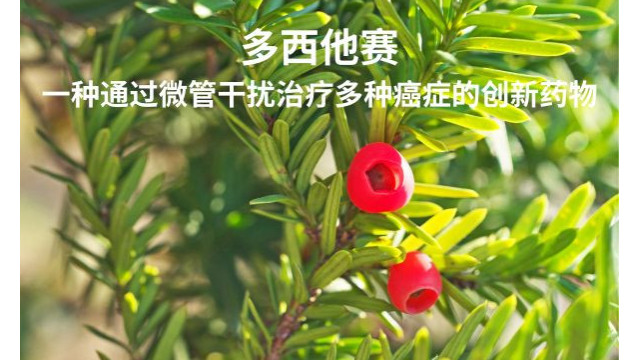 多西他赛：一种通过微管干扰治疗多种癌症的创新药物