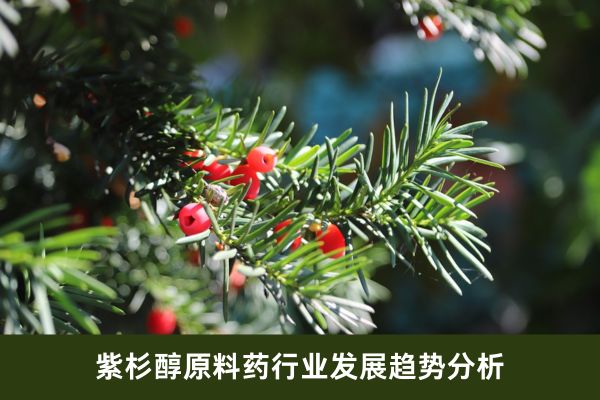 紫杉醇原料药行业发展趋势分析