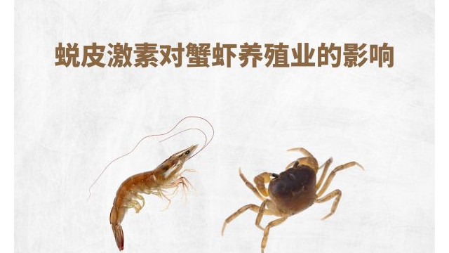 蜕皮激素及其对蟹虾养殖业的影响