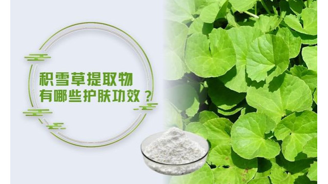 积雪草提取物有哪些护肤功效? 积雪草提取物有哪些护肤功效?