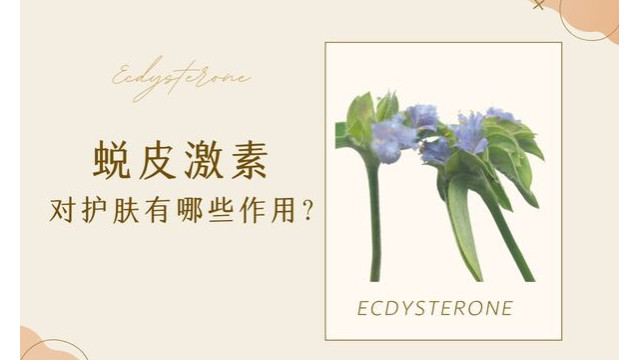 蜕皮激素对护肤有哪些作用? 蜕皮激素对护肤有哪些作用?